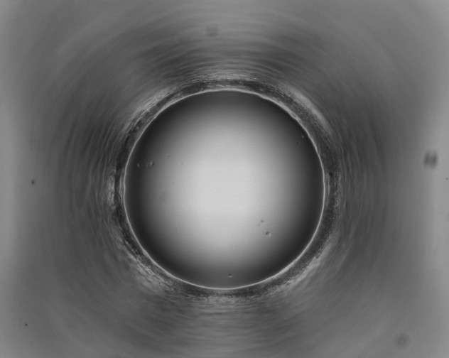 X0000091560777200708171325