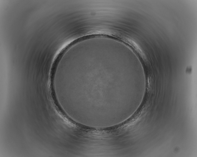 X0000091560780200708171325