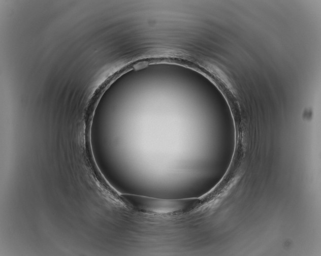 X0000091560781200708171325