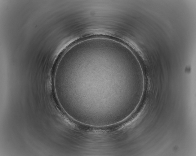 X0000091560782200708171325