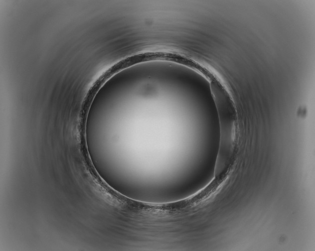 X0000091560783200708171325