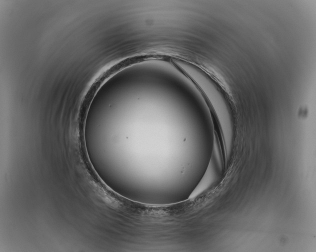 X0000091560784200708171325