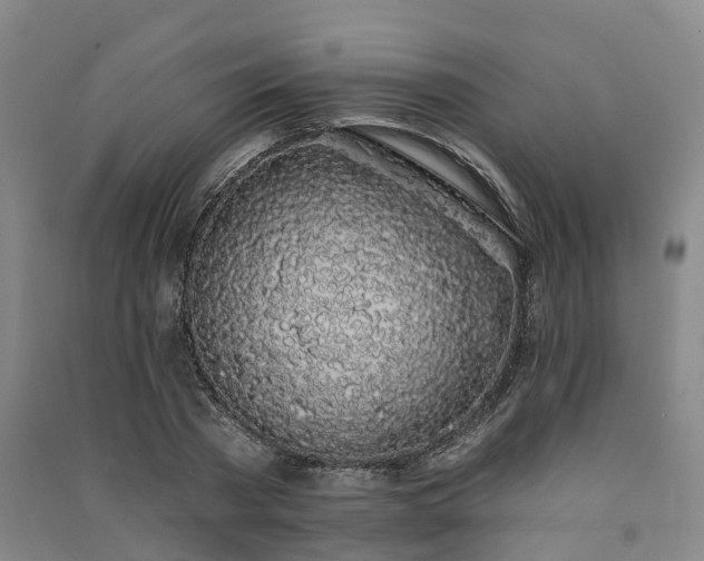 X0000091560785200708171325