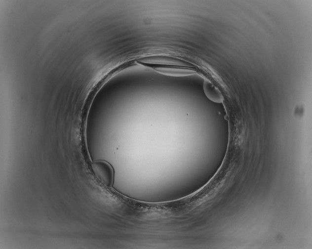 X0000091560786200708171325