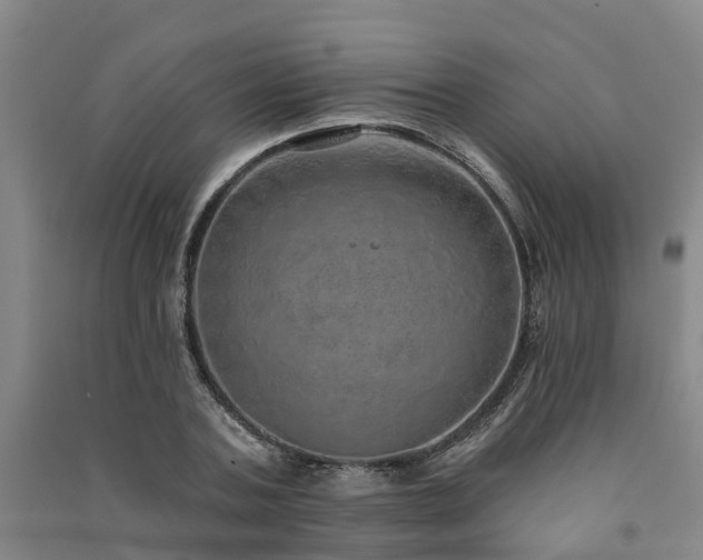 X0000091560787200708171325