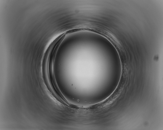 X0000091560788200708171324