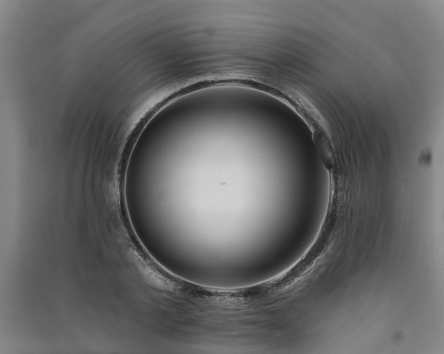 X0000091560789200708171324