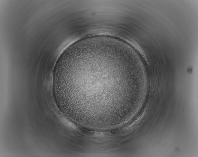 X0000091560790200708171324