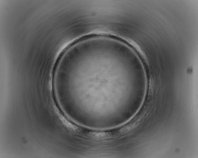 X0000091560791200708171324