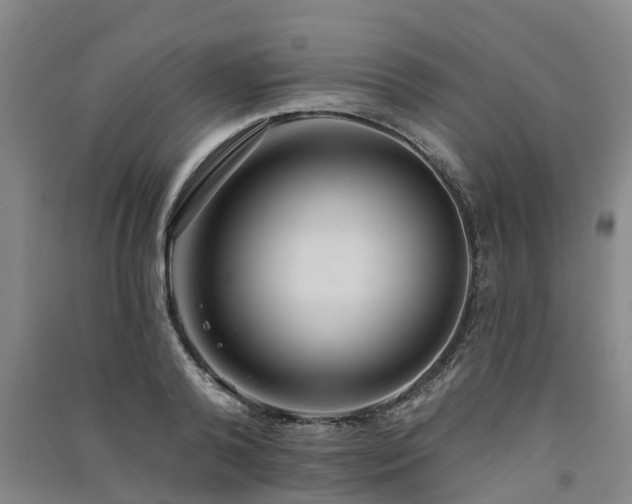 X0000091560792200708171324