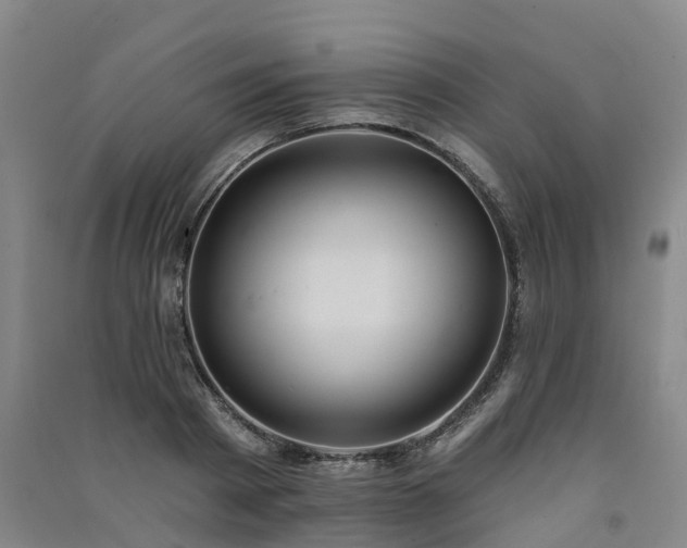 X0000091560793200708171324