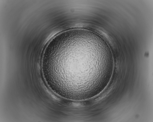 X0000091560794200708171324