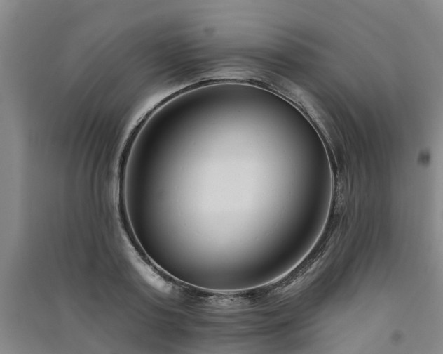 X0000091560795200708171324