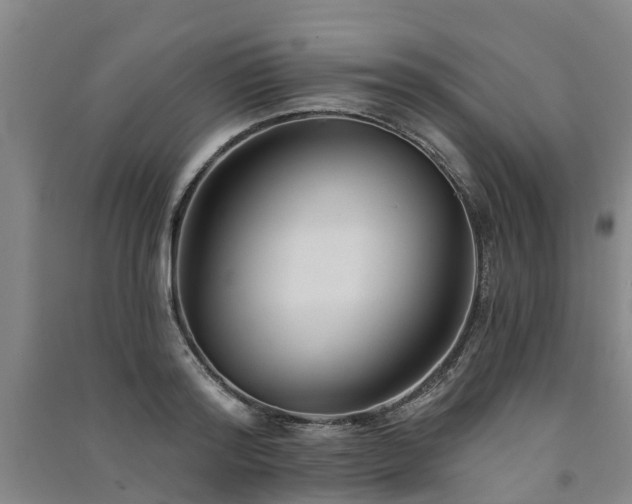 X0000091560796200708171324