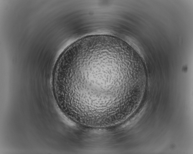 X0000091560797200708171324