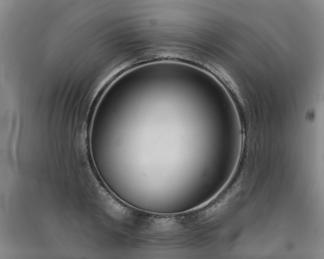 X0000091560798200708171324