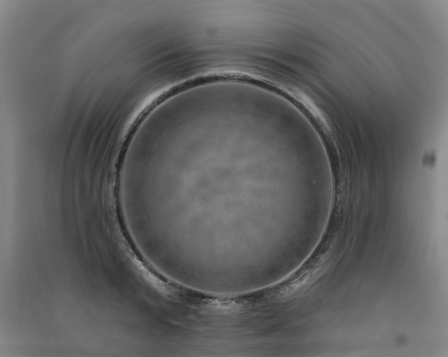 X0000091560799200708171324