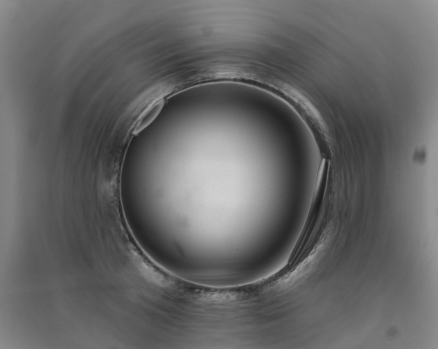 X0000091560801200708171324