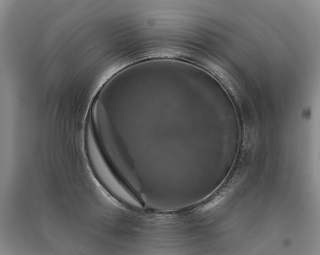 X0000091560802200708171324