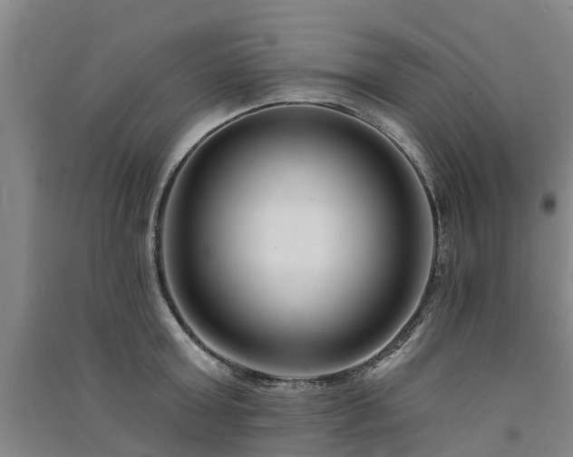 X0000091560803200708171324