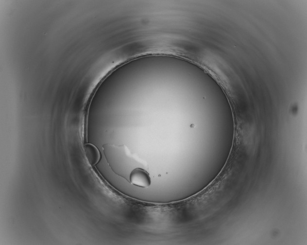 X0000091560804200708171324