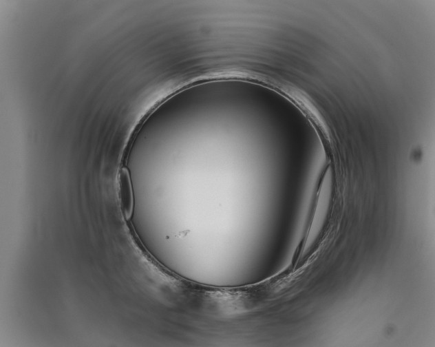 X0000091560805200708171324