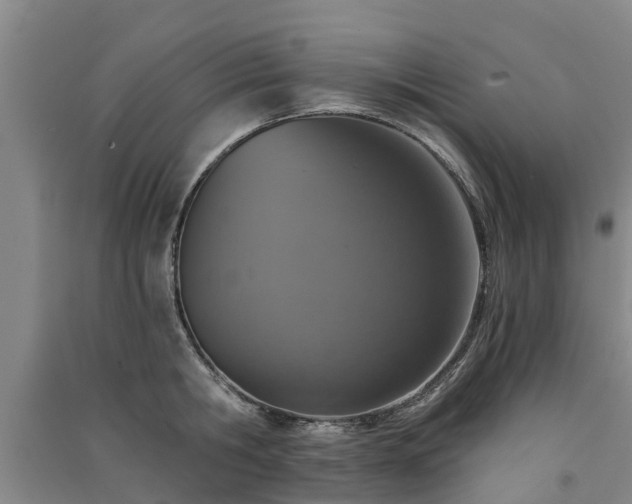 X0000091560806200708171324