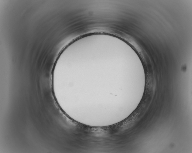 X0000091560807200708171324