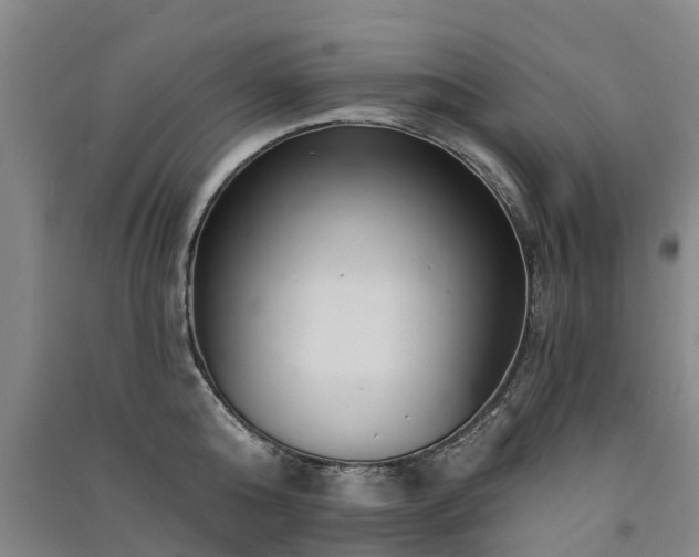 X0000091560808200708171324