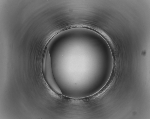 X0000091560809200708171324