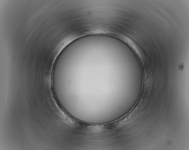 X0000091560810200708171324