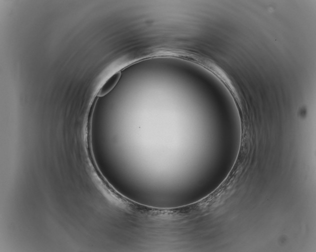 X0000091560811200708171324