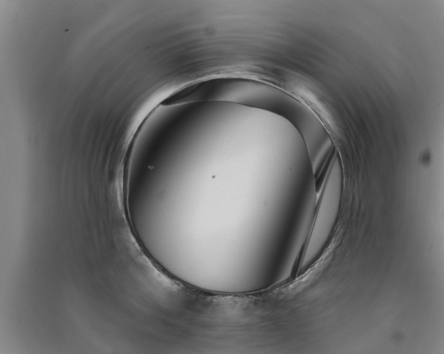 X0000091560812200708171324