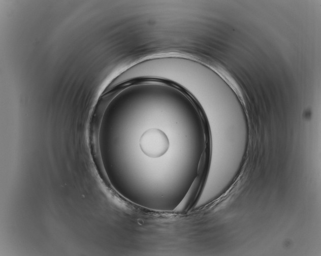 X0000091560813200708171324