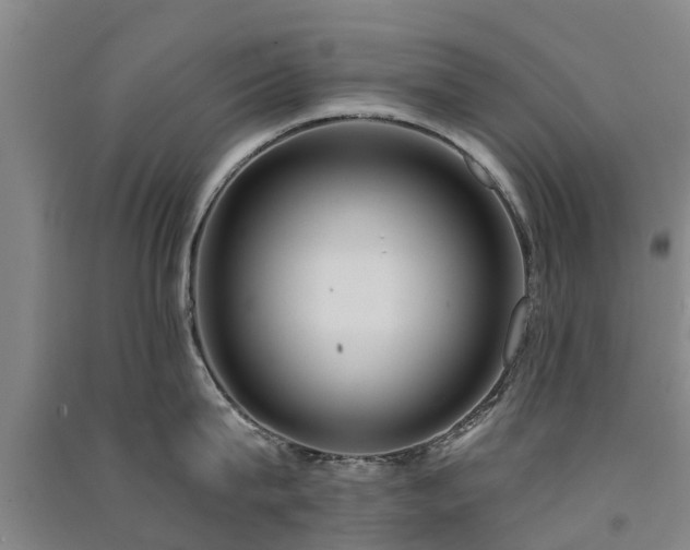 X0000091560815200708171324