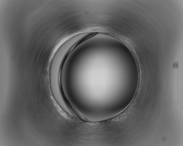 X0000091560816200708171324