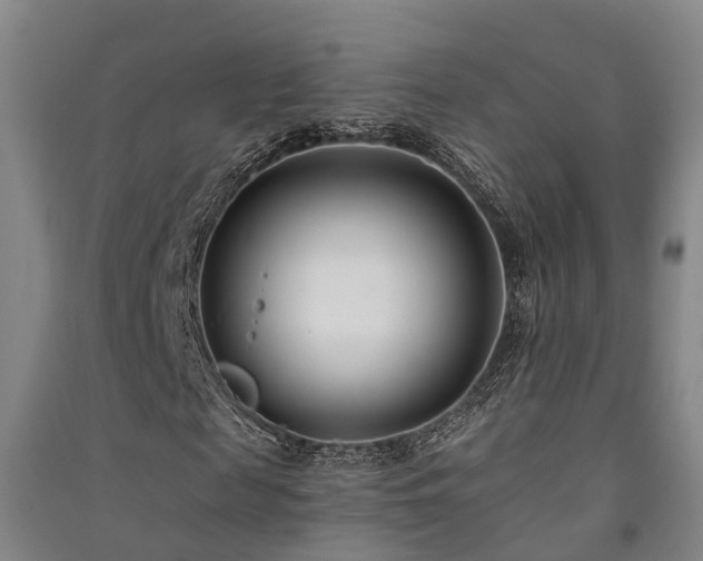 X0000091560817200708171324