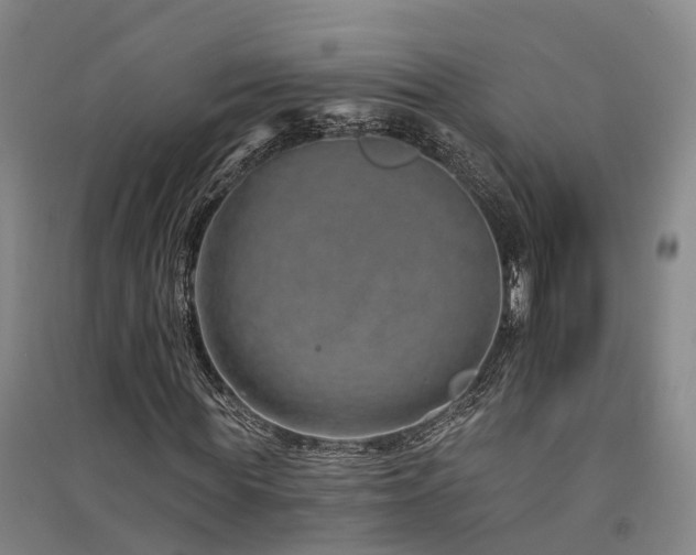 X0000091560819200708171324