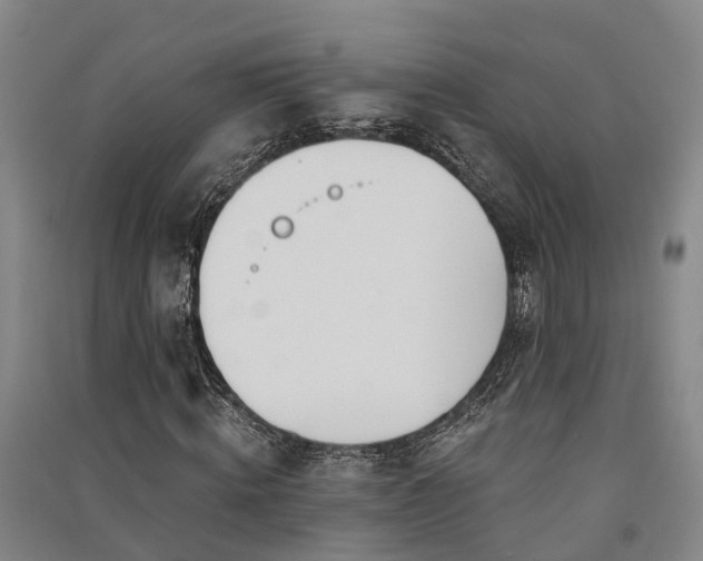 X0000091560820200708171324