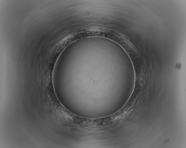 X0000091560821200708171324