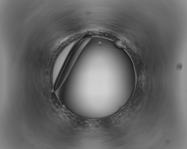 X0000091560822200708171324