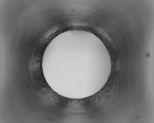 X0000091560824200708171324