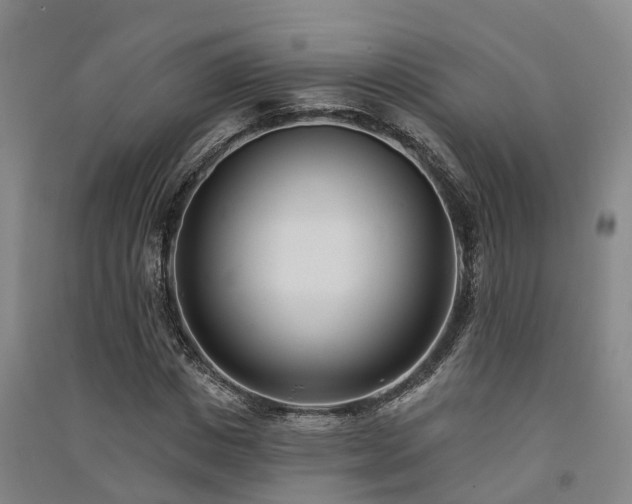 X0000091560825200708171324