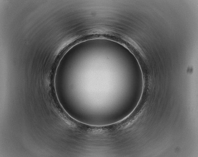 X0000091560826200708171324