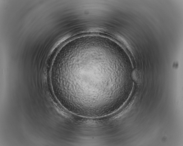 X0000091560827200708171324