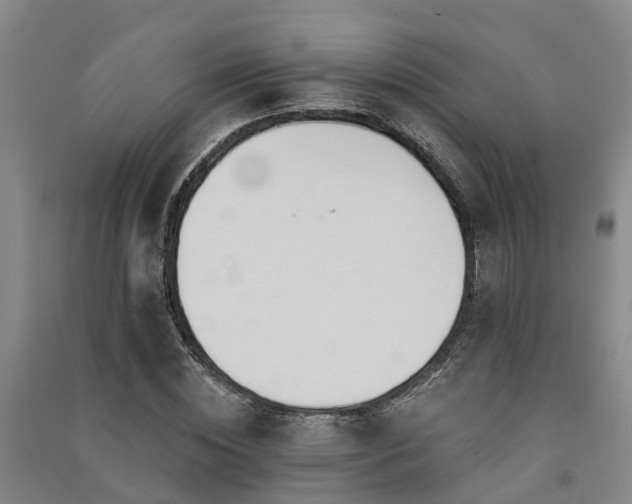 X0000091560828200708171324