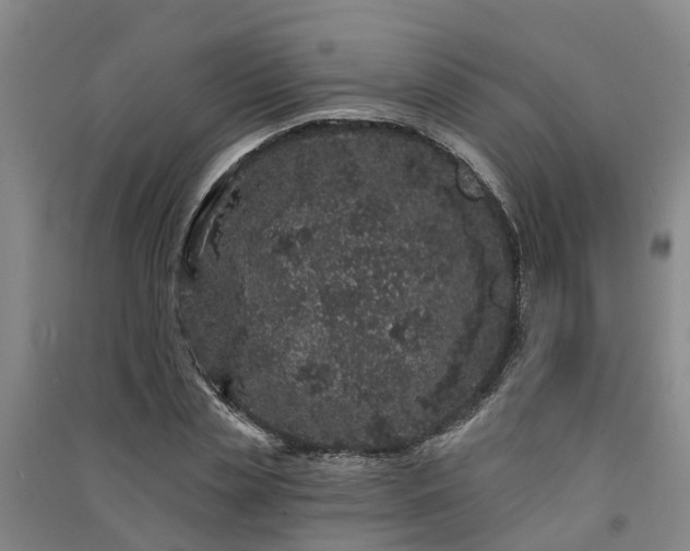 X0000091560829200708171324