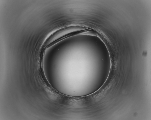 X0000091560830200708171324