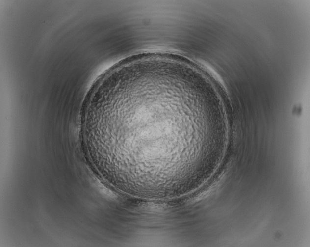 X0000091560831200708171324