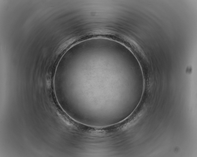 X0000091560833200708171324